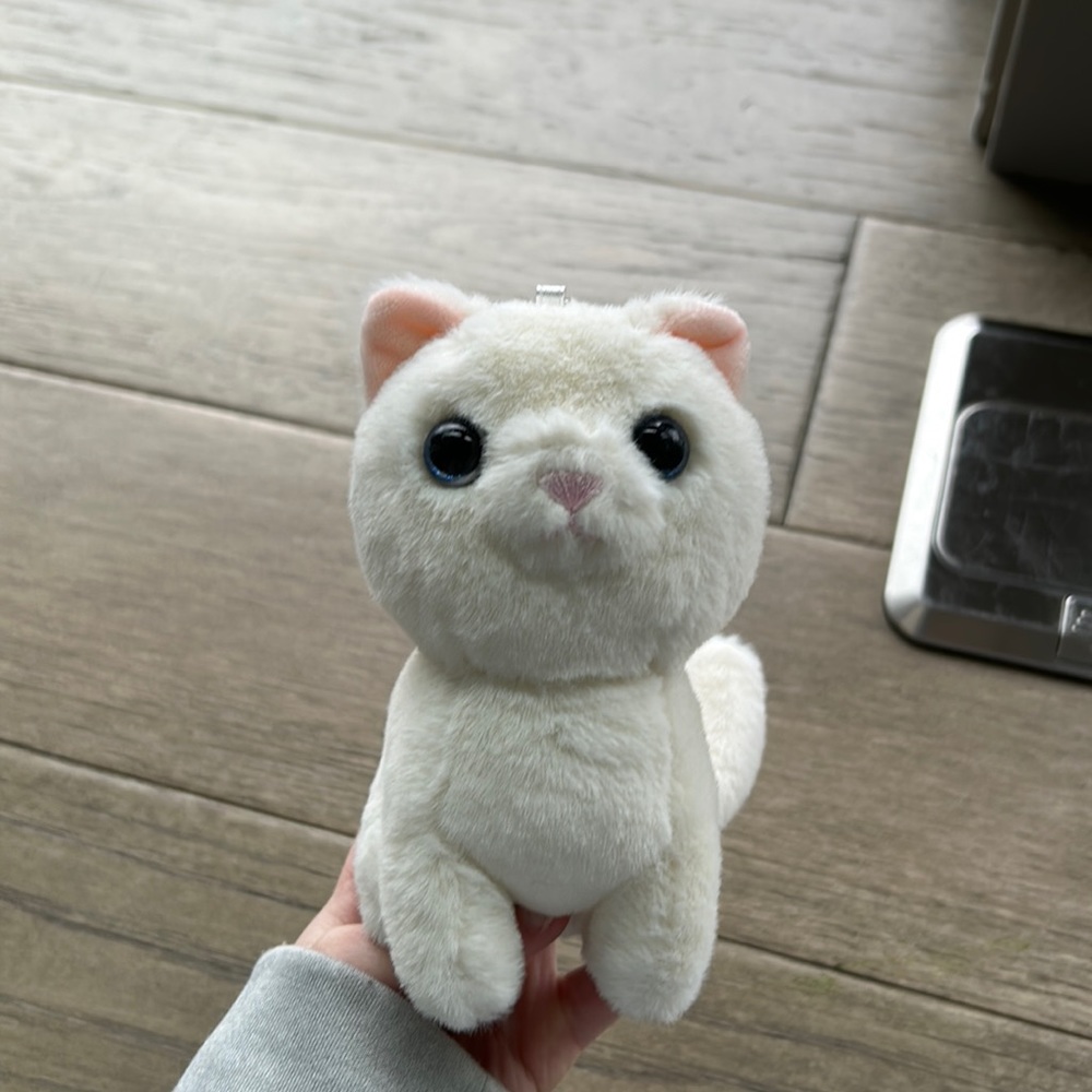 White cat plushy small in size like new condition